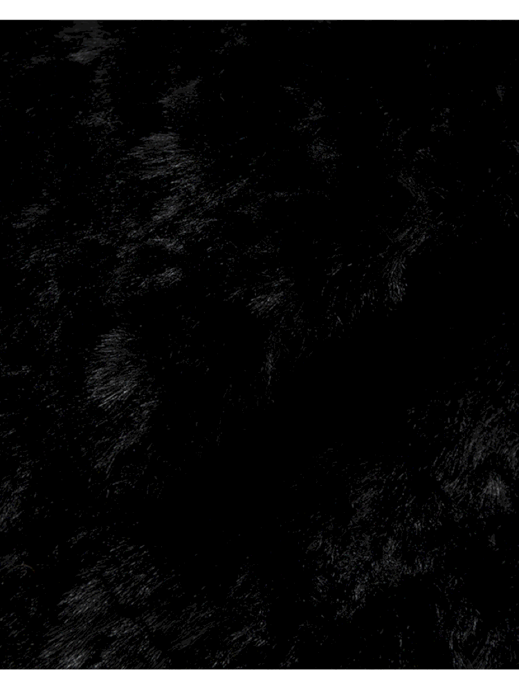 Dark Court Leopard Suede Fur Coat【s0000014925】