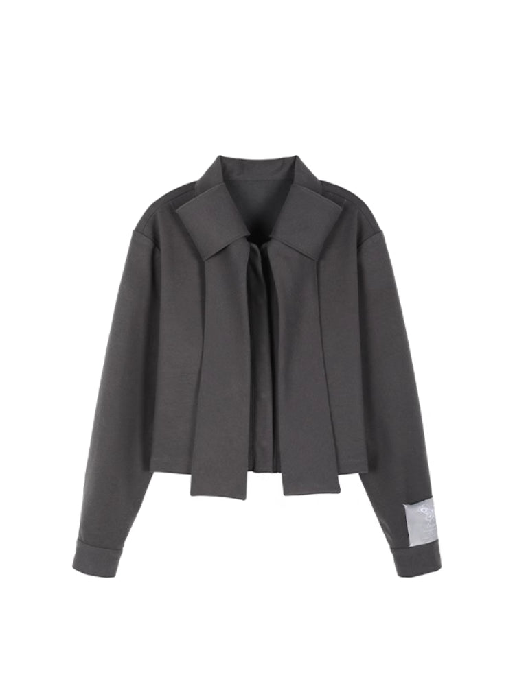 High end coat and pleated skirt【s0000006336】