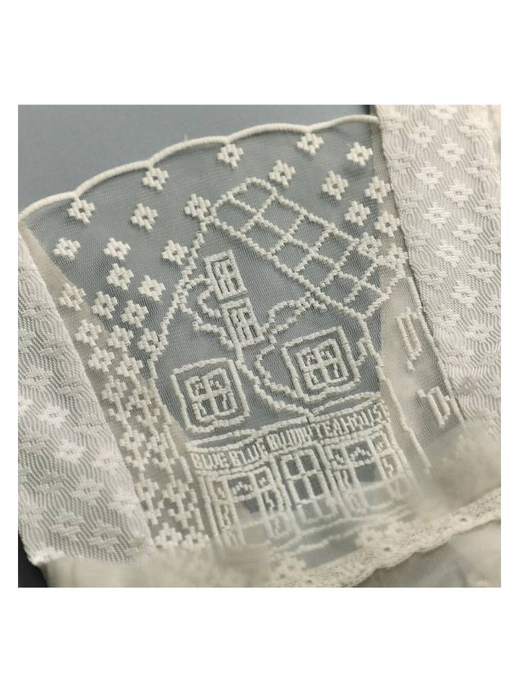 Lace embroidery apron【s0000008743】