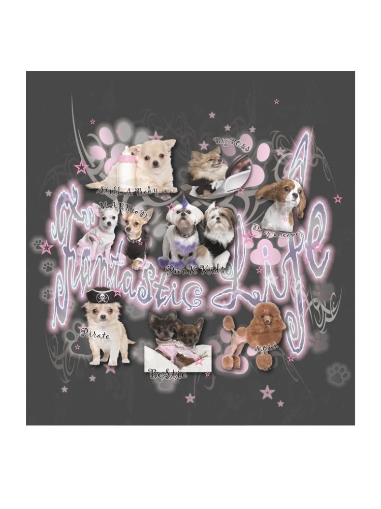 Dog Print Loose Contrast Sweatshirt【s0000000032】 - SCULTURE(エスカルチャー)