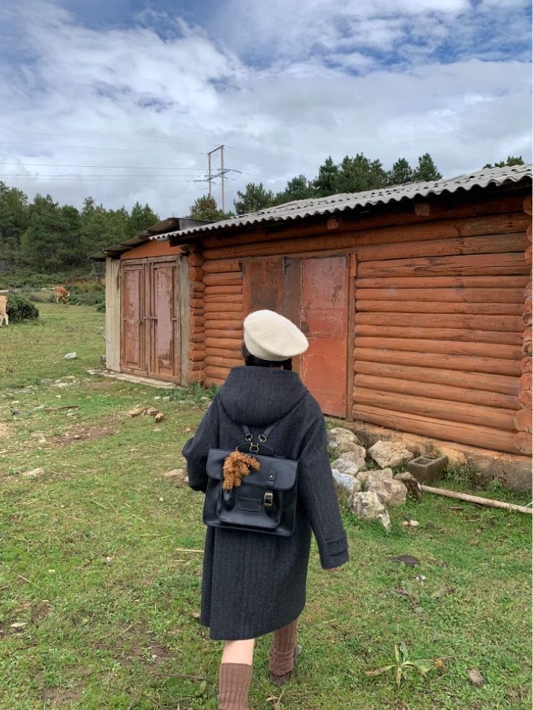 d 뺨에, d toe d koa t 이외에 [S000005895]