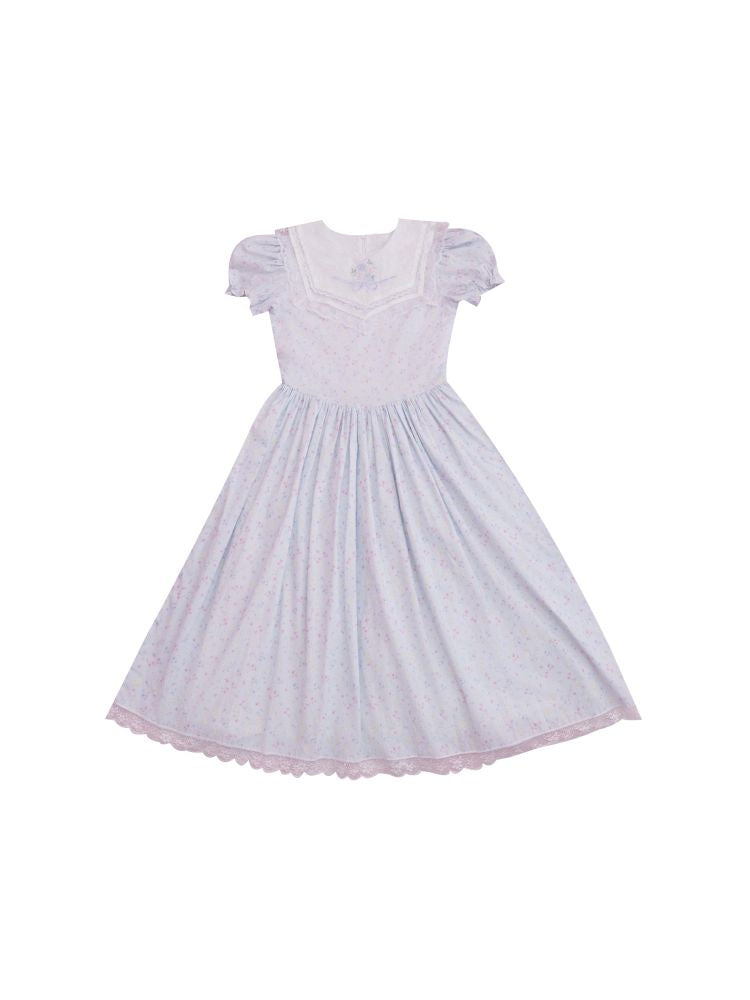 Embroidered Princess Waistline Dress【s0000013496】
