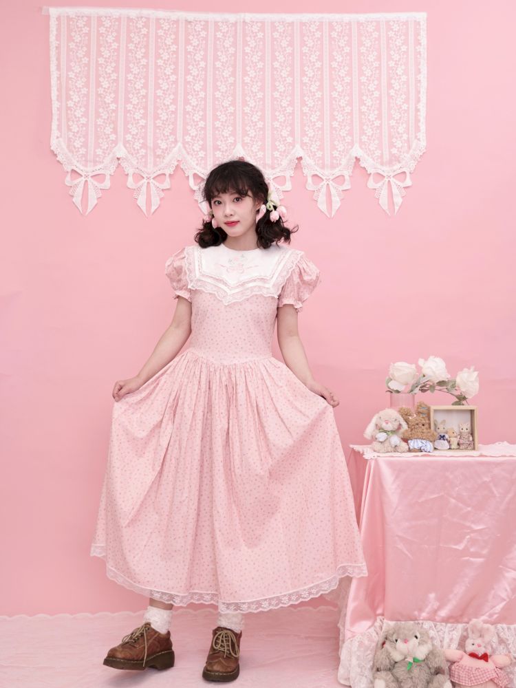 Embroidered Princess Waistline Dress【s0000013496】