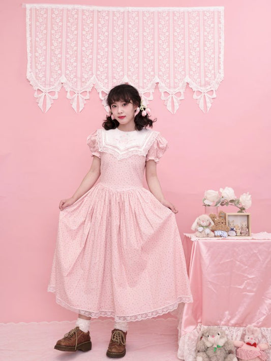 Embroidered Princess Waistline Dress【s0000013496】