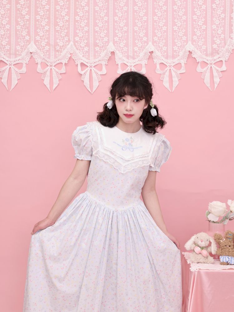 Embroidered Princess Waistline Dress【s0000013496】