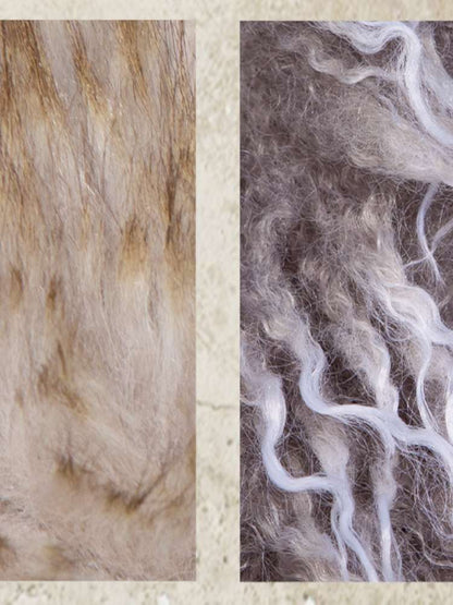 Fur Collar Stylish Slim-Fit Leather Jacket【s0000014481】