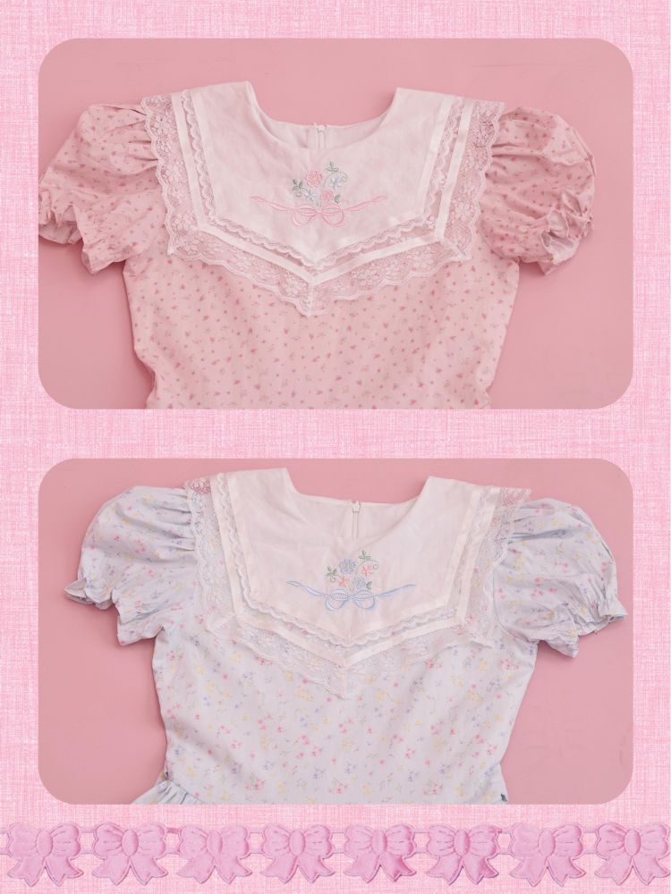 Embroidered Princess Waistline Dress【s0000013496】