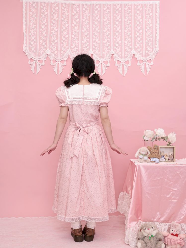 Embroidered Princess Waistline Dress【s0000013496】