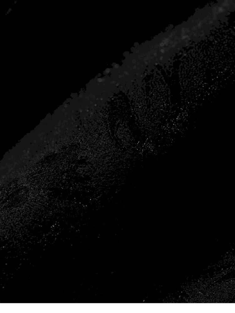 Dark Court Leopard Suede Fur Coat【s0000014925】