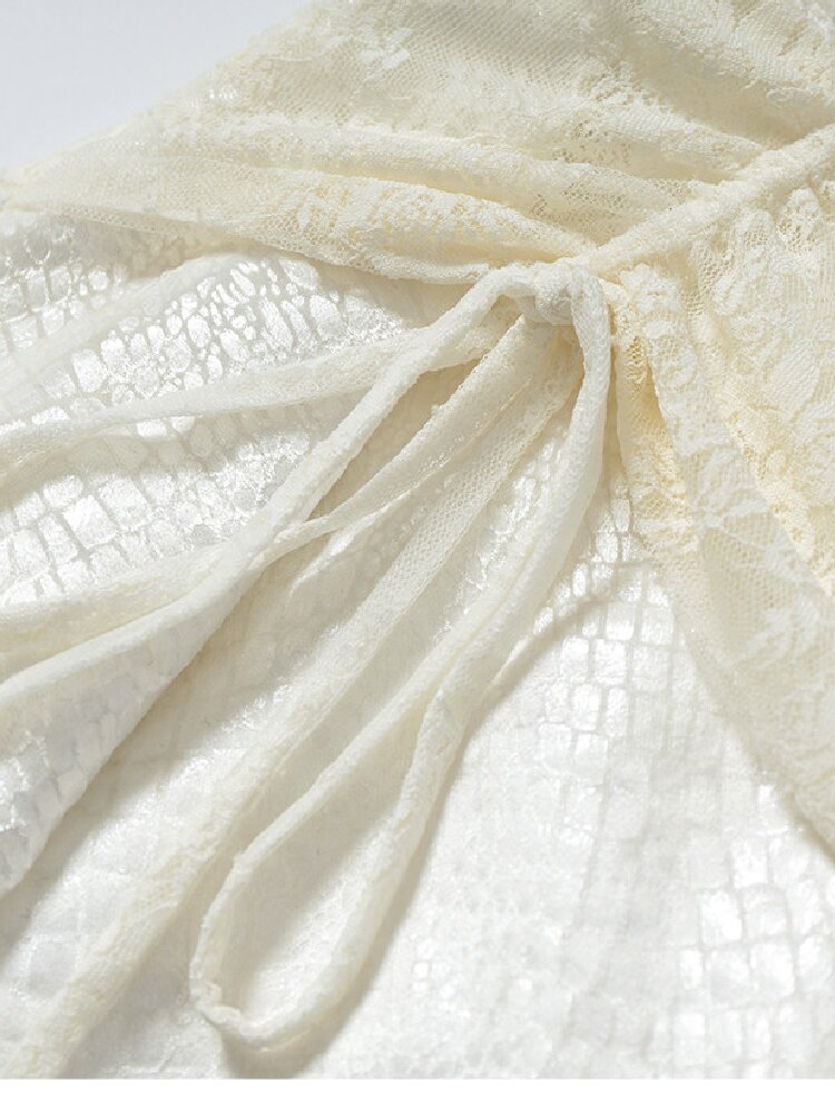 Baroque Velvet Lace A-Line Skirt【s0000016988】