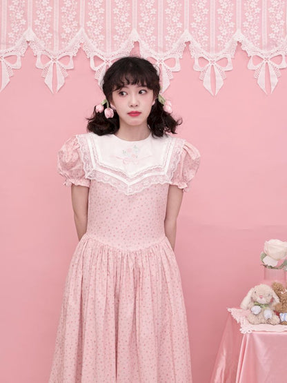 Embroidered Princess Waistline Dress【s0000013496】