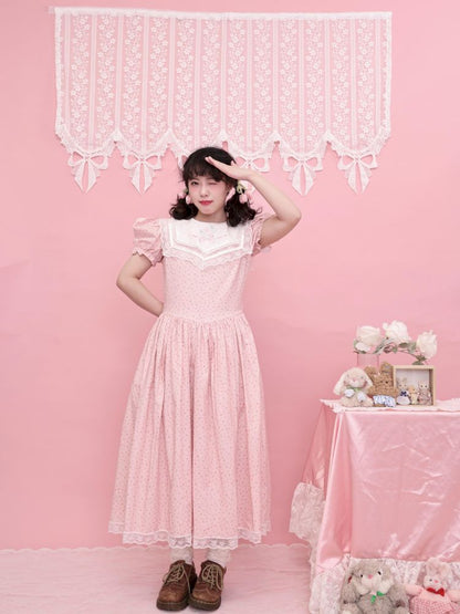 Embroidered Princess Waistline Dress【s0000013496】