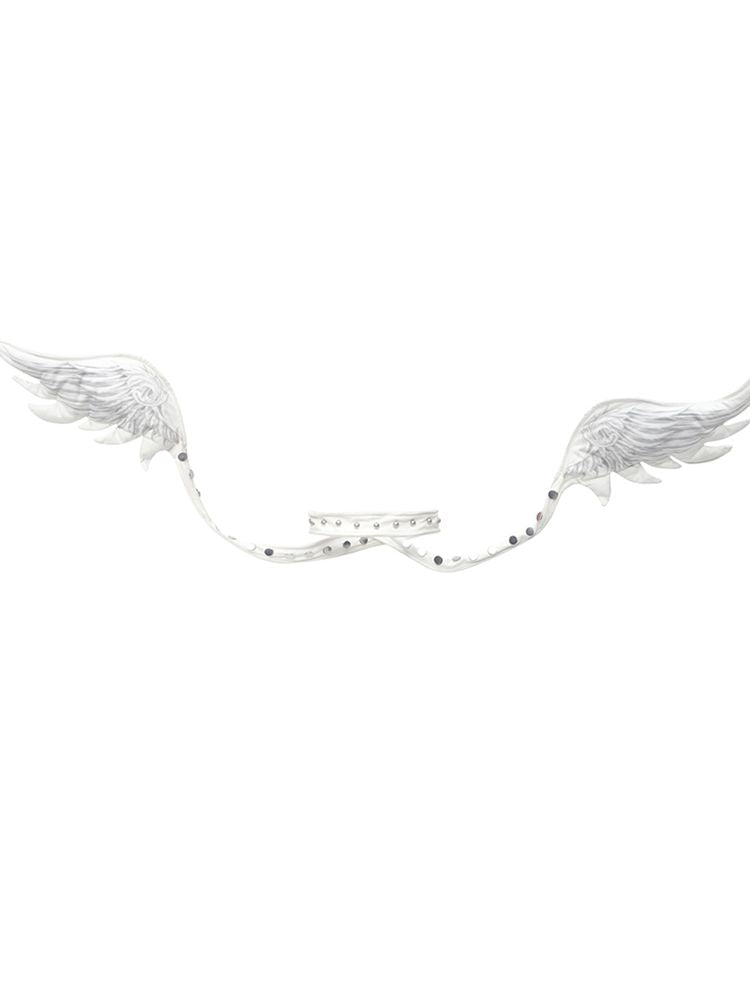 Angel Wings Collar [S0000008994]