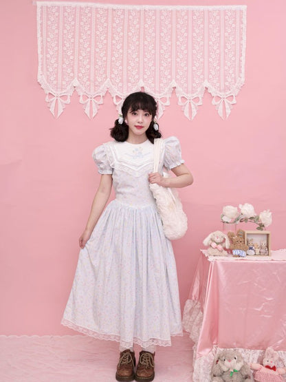 Embroidered Princess Waistline Dress【s0000013496】