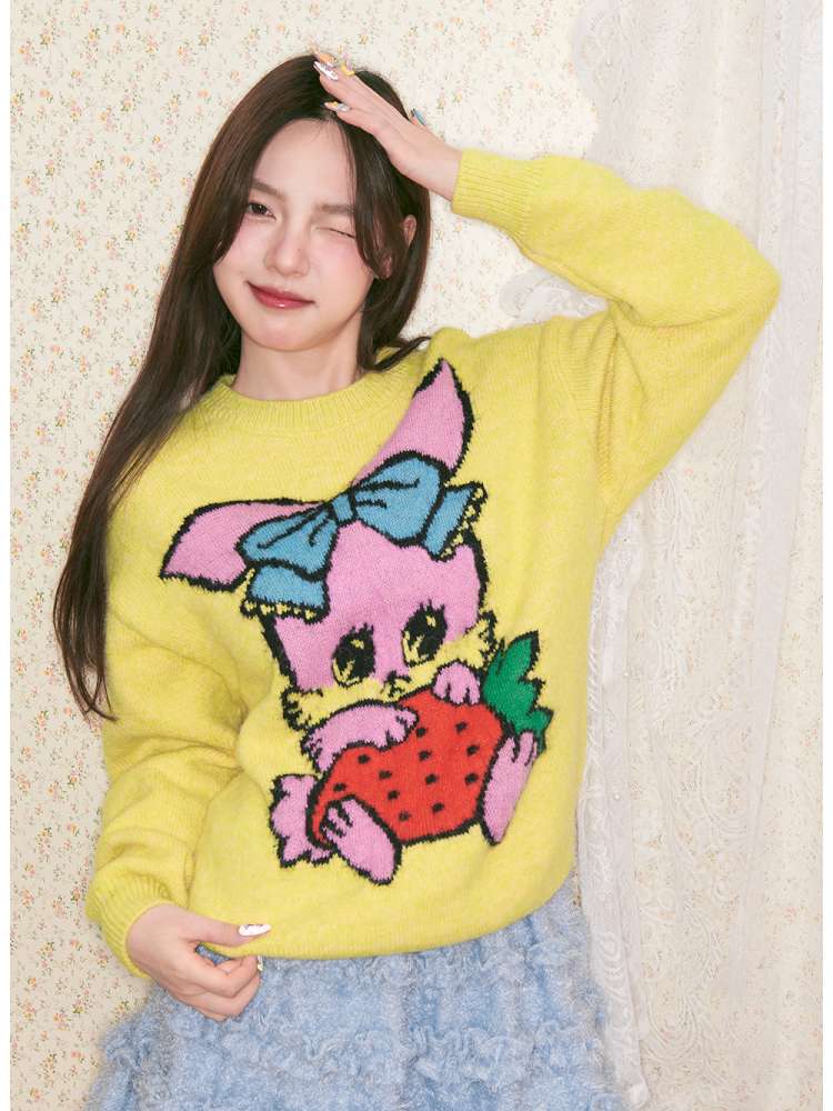 Cute Small Animals Sweater【s0000014497】