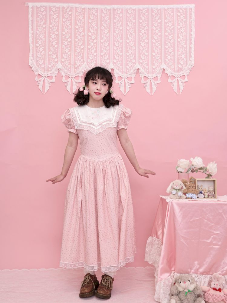 Embroidered Princess Waistline Dress【s0000013496】