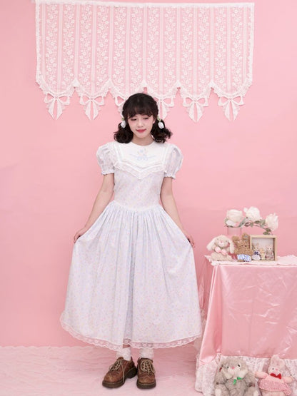 Embroidered Princess Waistline Dress【s0000013496】