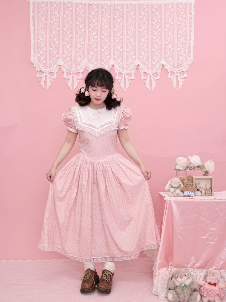 Embroidered Princess Waistline Dress【s0000013496】
