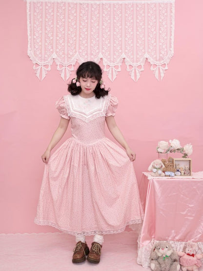 Embroidered Princess Waistline Dress【s0000013496】