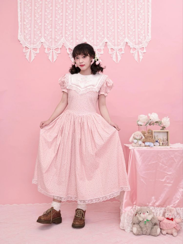 Embroidered Princess Waistline Dress【s0000013496】