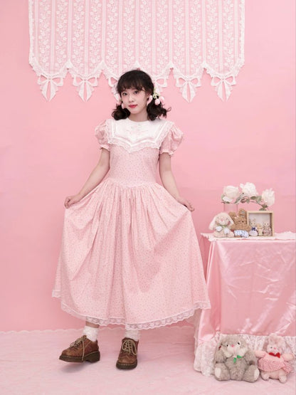 Embroidered Princess Waistline Dress【s0000013496】