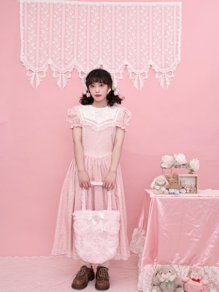 Embroidered Princess Waistline Dress【s0000013496】