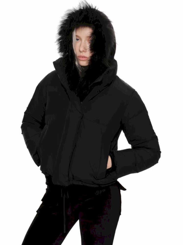 Stand Collar Down Jacket [S0000010654]