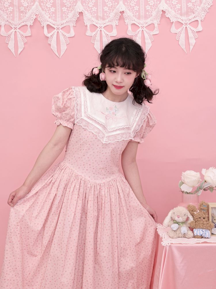 Embroidered Princess Waistline Dress【s0000013496】
