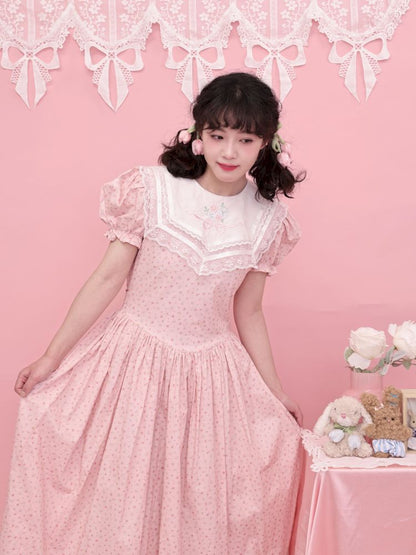 Embroidered Princess Waistline Dress【s0000013496】