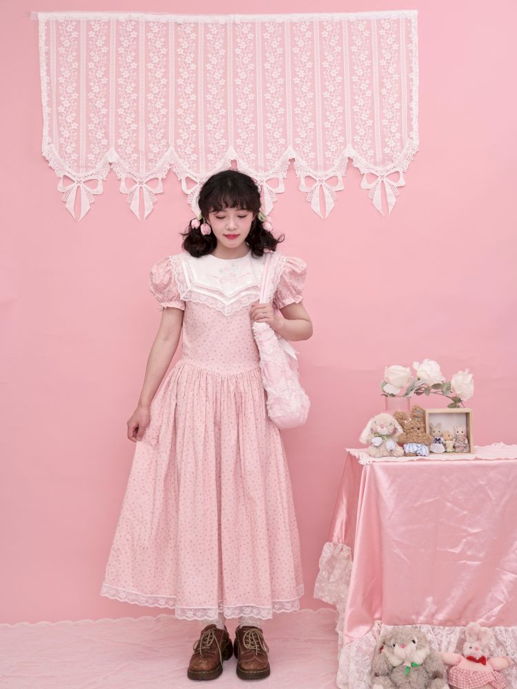 Embroidered Princess Waistline Dress【s0000013496】