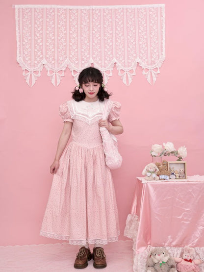 Embroidered Princess Waistline Dress【s0000013496】
