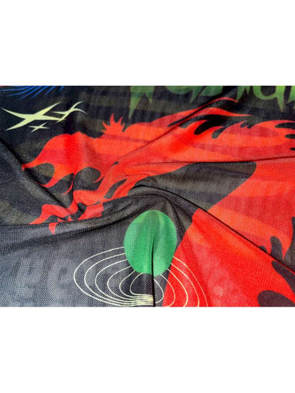 Y2K Millennium Print Long Sleeve Mesh Top【s0000014915】