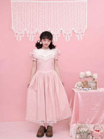 Embroidered Princess Waistline Dress【s0000013496】