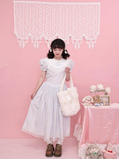 Embroidered Princess Waistline Dress【s0000013496】