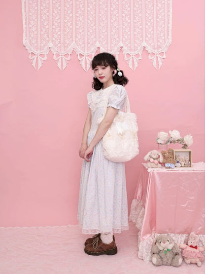 Embroidered Princess Waistline Dress【s0000013496】