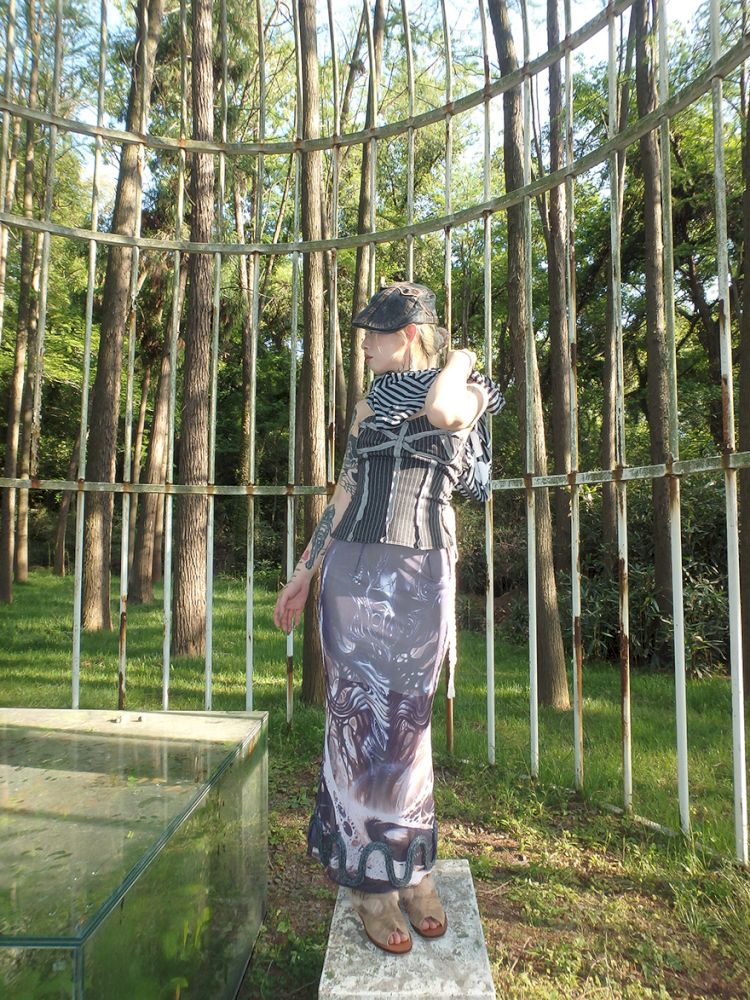 Printed Shaped Slit Mesh Half-body Dress【s0000012466】