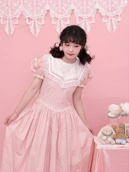 Embroidered Princess Waistline Dress【s0000013496】