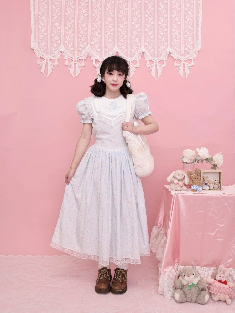 Embroidered Princess Waistline Dress【s0000013496】