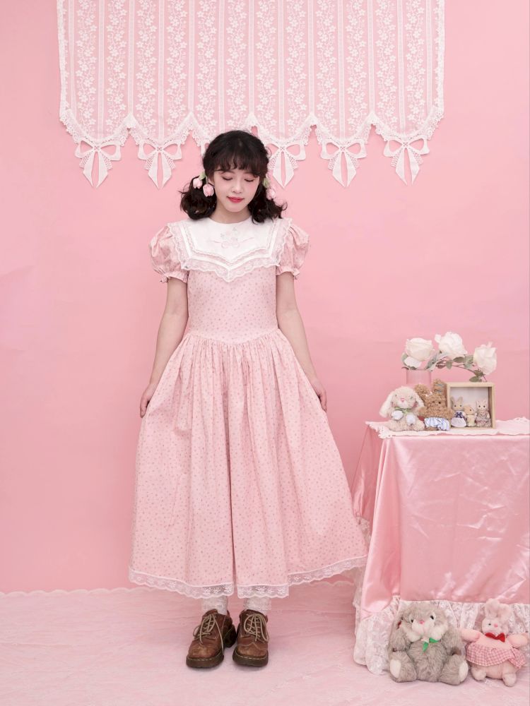 Embroidered Princess Waistline Dress【s0000013496】