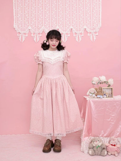Embroidered Princess Waistline Dress【s0000013496】