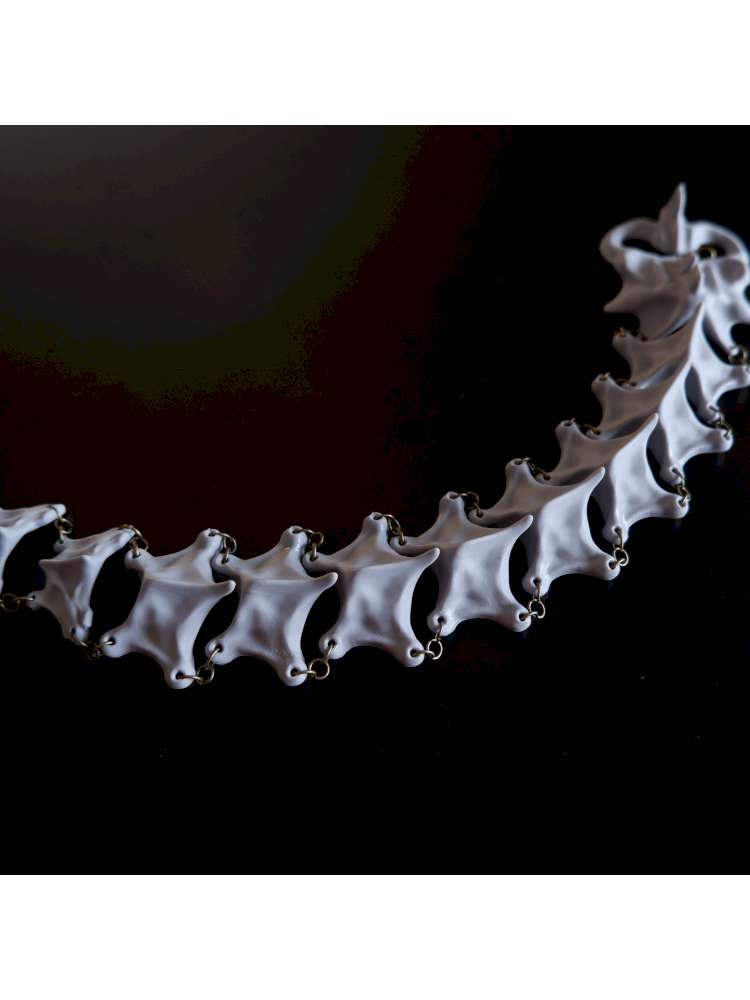 Symbiotic Bones Skeleton Necklace【s0000015153】