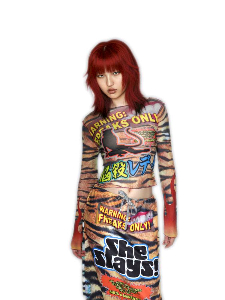 Y2K Millennium Print Long Sleeve Mesh Top【s0000014915