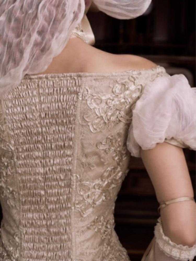 Edward Vintage Elegant One-Shoulder Puff Sleeve Mesh Tops【s0000013576】