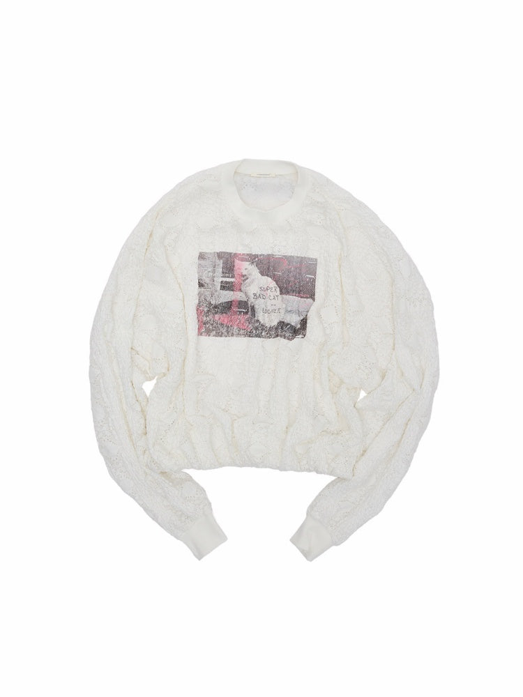 Cat Wanted Print 3D Hollow Lace Crew Neck Loose Pullover Bud Sweatshirt【s0000019019】