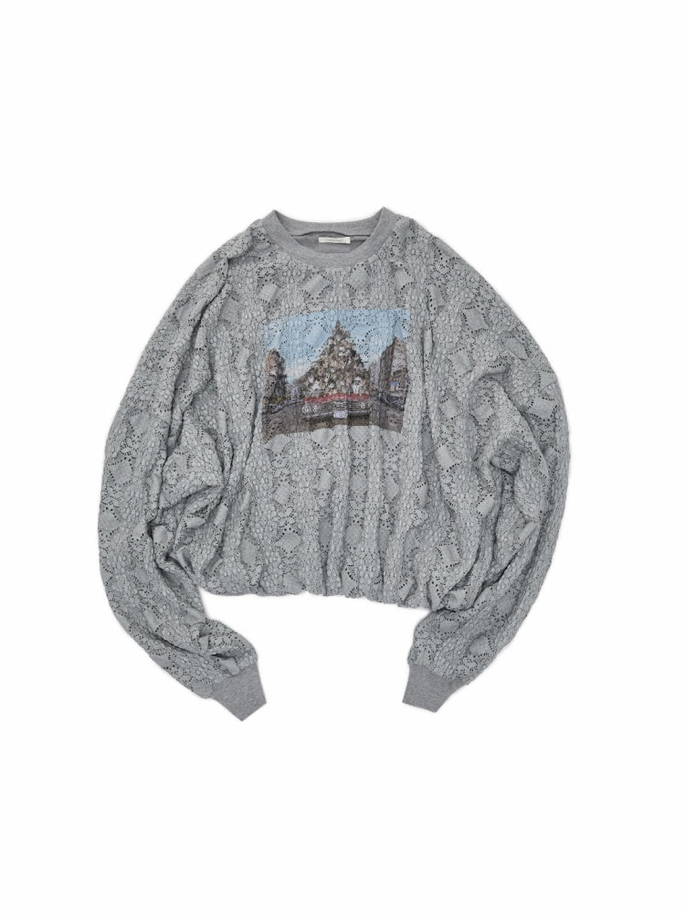 Cat Wanted Print 3D Hollow Lace Crew Neck Loose Pullover Bud Sweatshirt【s0000019019】
