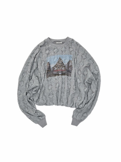 Cat Wanted Print 3D Hollow Lace Crew Neck Loose Pullover Bud Sweatshirt【s0000019019】