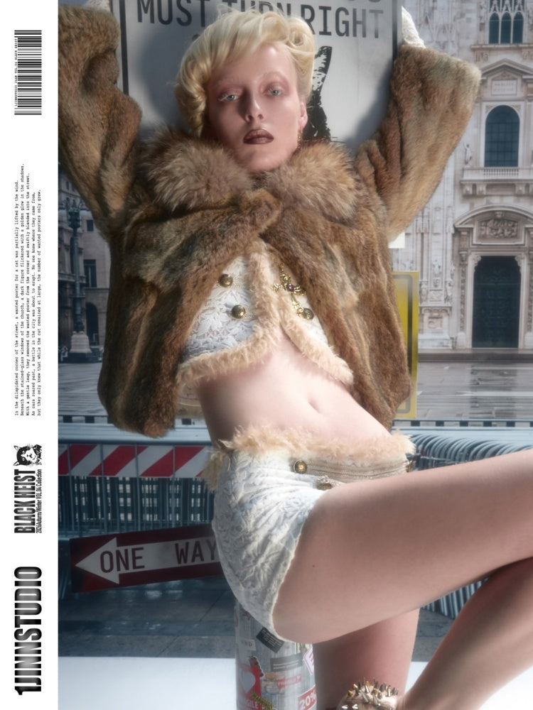 Rabbit Hair Patchwork Raccoon Fur Collar 8/4 Sleeve Short Jacket【s0000019024】