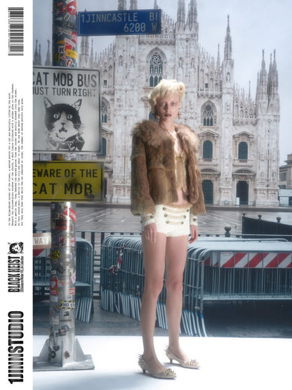 Rabbit Hair Patchwork Raccoon Fur Collar 8/4 Sleeve Short Jacket【s0000019024】